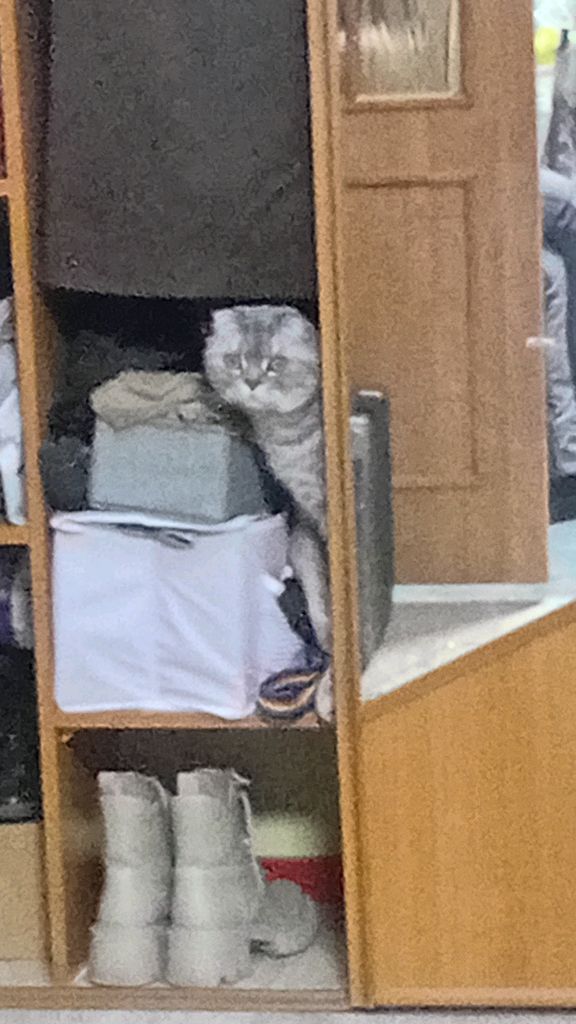 что происходит за кадром