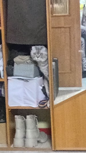 что происходит за кадром