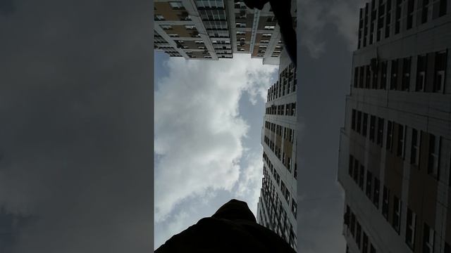 VID_20260424_115112.mp4