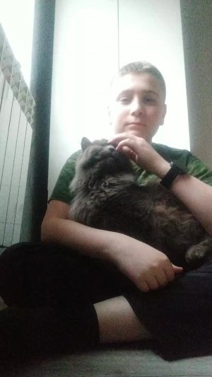 стрим с котом отвечаю на вопросы