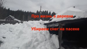 Убираем снег на пасеке-2