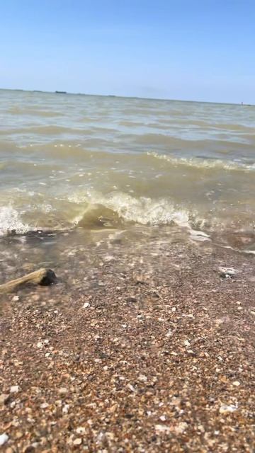 гармония #рек #море