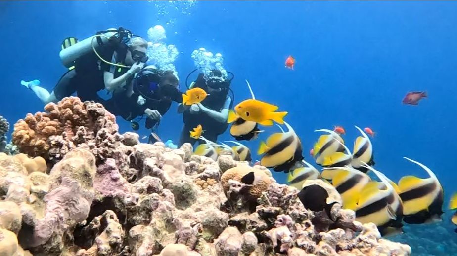 МИНИ ОБЗОР поездки в ЕГИПЕТ