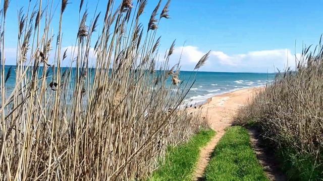 Кучугуры.Апрель