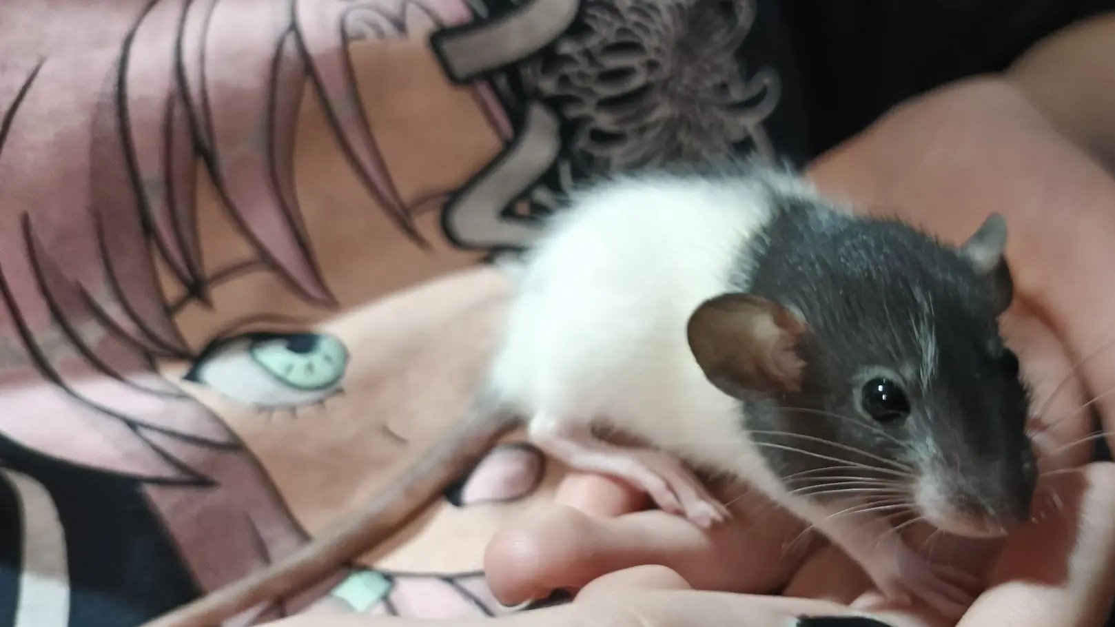 У нас ОПЯТЬ прибавление 😅🤣🤣