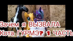 ЗАЧЕМ Я ВЫЗВАЛА КОТА ГУРМЭ? май Литл пони игрушки