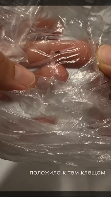 защита от клещей