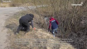 Субботник волонтёров «Северстали» в Череповце дал старт акции «Чистая промвесна»