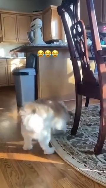 Надёжно спрятал, не подкопаешься😁))