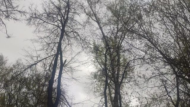 24 апреля творите добро на земле магический пасмурный прогноз погоды от волшебника ждите ☀️