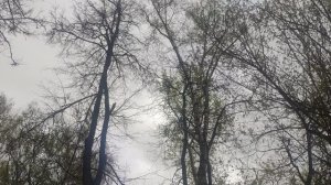 24 апреля творите добро на земле магический пасмурный прогноз погоды от волшебника ждите ☀️