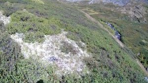 3 Минусинск- Абаза 19.8.21