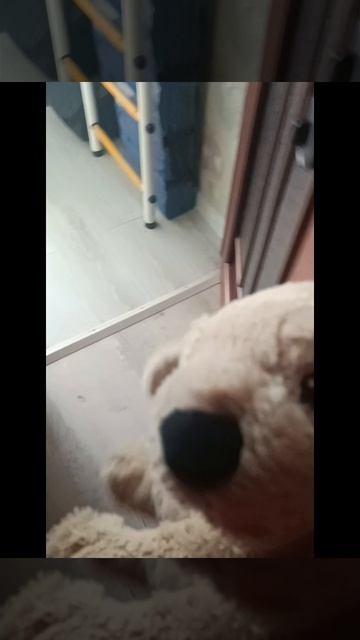 первый клип от золотистого ретривера Голди я лис поддержите его лайкам и хорошим комментарием