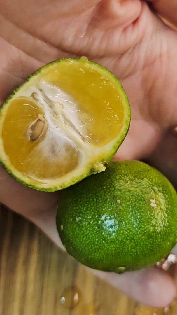 Сперфуды Окинавы