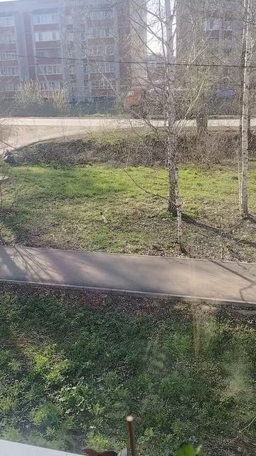 Погода 24.04.26