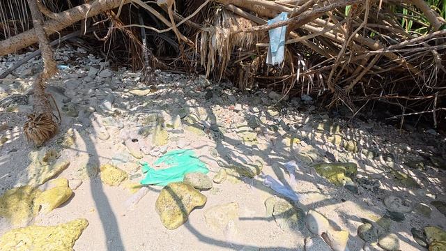 Мальдивы. Остров Тодду. Ноябрь 2025. Крабы на Диком пляже напротив Свалки