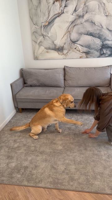 Он же успел?