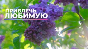 Привлечь любимую (конкретную) женщину. Привлечь избранницу | Саблиминал