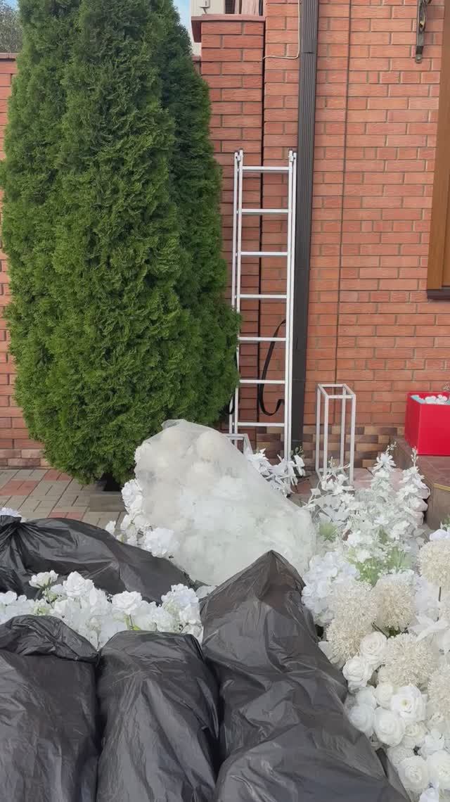 Свадебное утро. За кадром