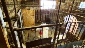 24-04 ДЕРЕВНЯ И ЖИЗНЬ В СВИНАРНИКЕ,ДЕРЕВНЯ АЛТАЯ