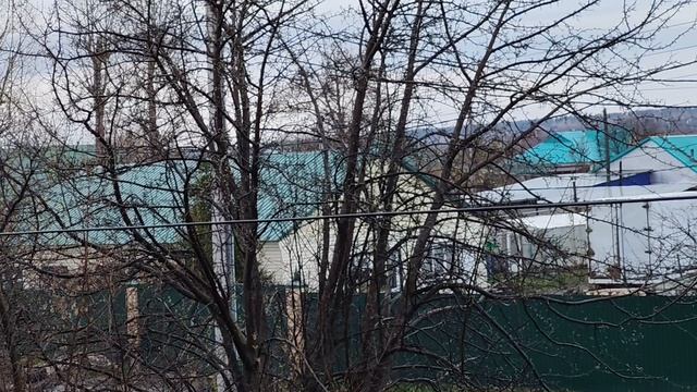 уютные будни в деревне