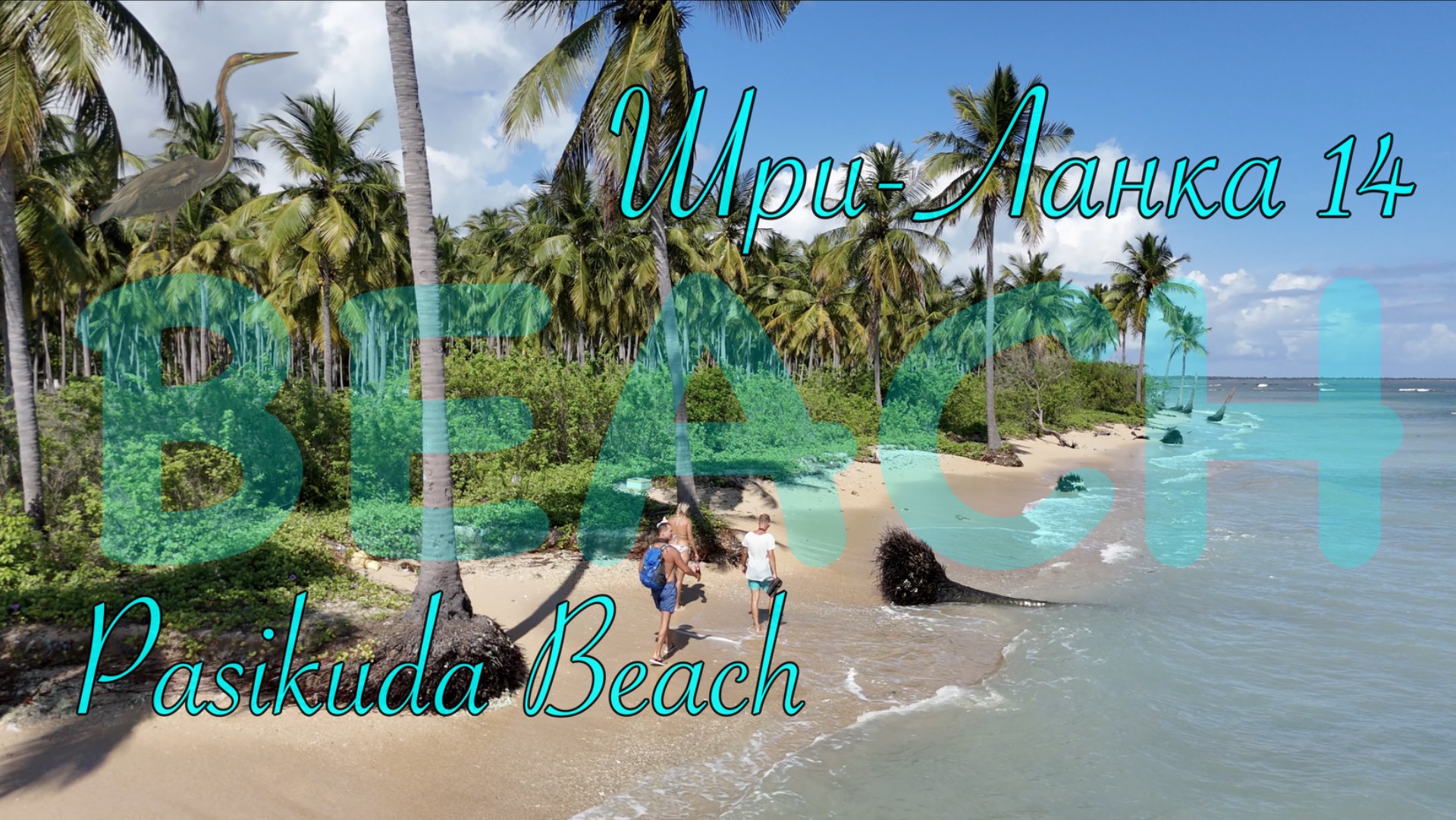 Шри-Ланка 🇱🇰 Sri Lanka. Pasikuda Beach 🏖️ #beach #srilanka #pasikuda #travel #ocean