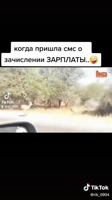 Когда пришла ЗП