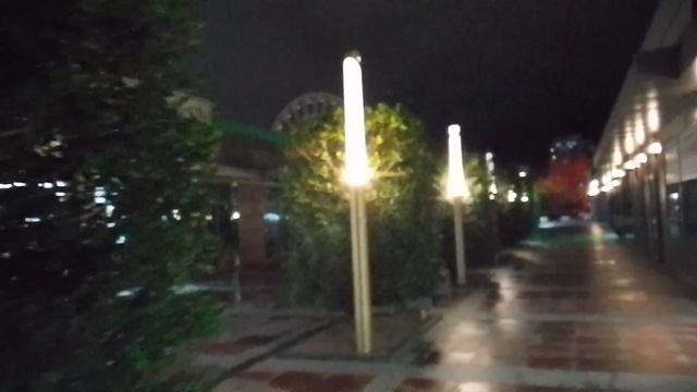 Вечерняя прогулка , вечерний пейзаж с фонарями.