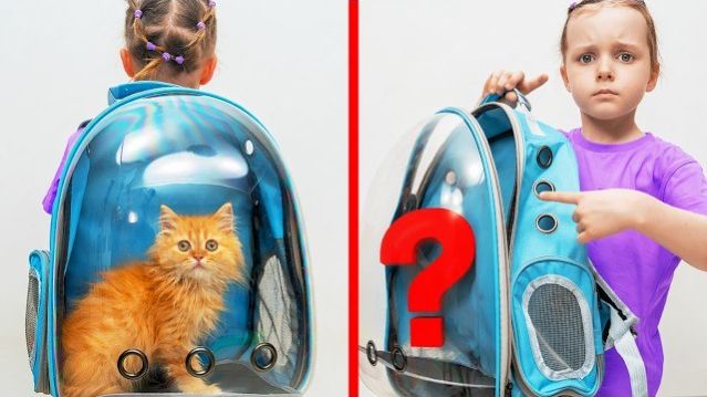 Куда пропал котёнок? Даша и папа вместе ищут пушистого друга