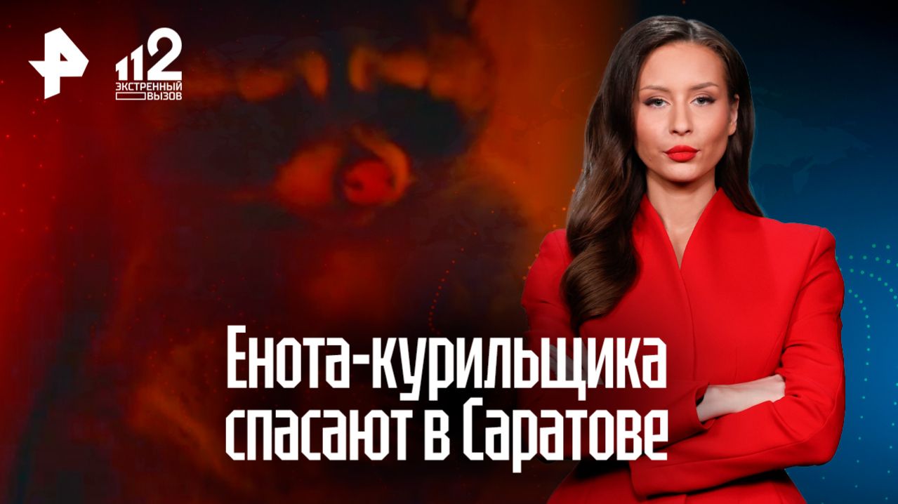 Енота-курильщика спасают из кальянного рабства в Саратове
