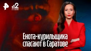 Енота-курильщика спасают из кальянного рабства в Саратове