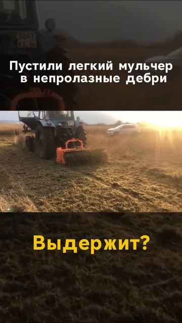 На пределе прочности  танк против дикого поля