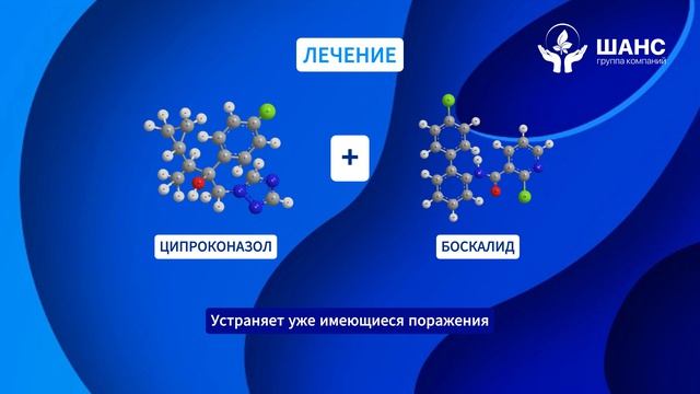 КАДУЦЕЙ КЭ  ФУНГИЦИД  ГК ШАНС