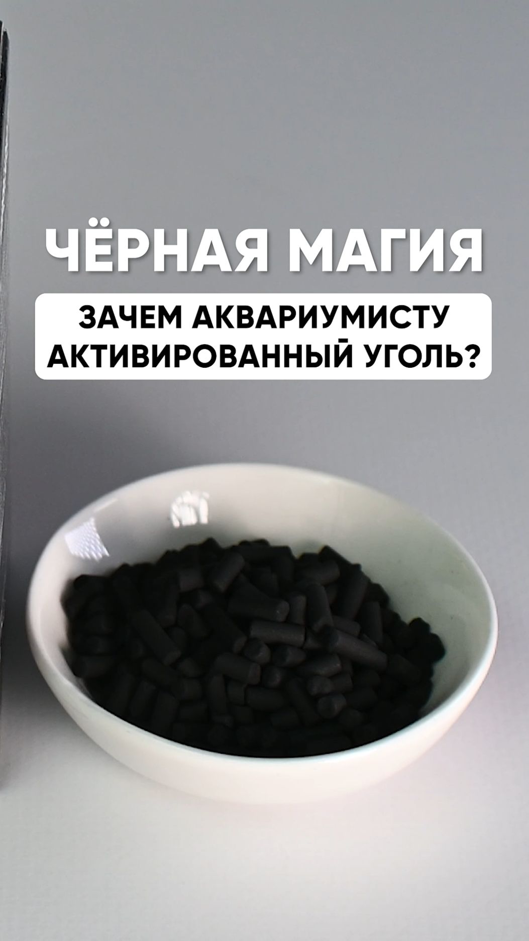 Чёрная магия фильтрации. Зачем аквариумисту активированный уголь