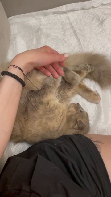 Котомама Ириски пишет: 