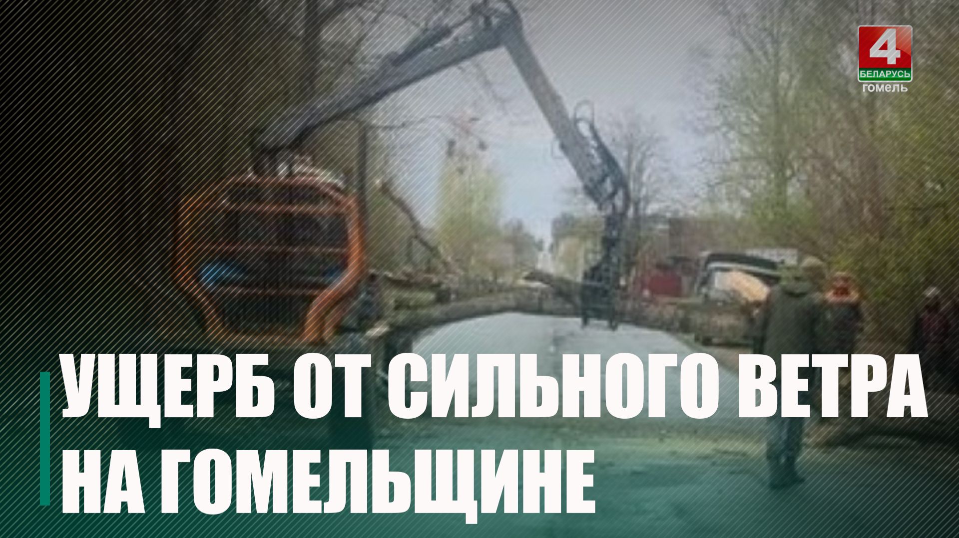 На Гомельщине сильный ветер повредил крышу школы и повалил деревья