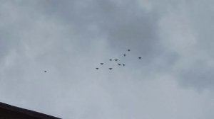 19.04.2026. Перед вечерним кормлением...