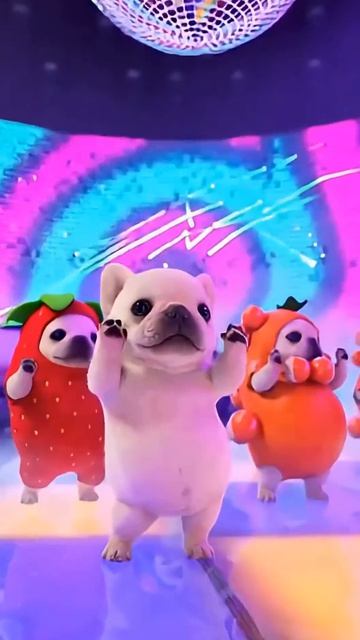 Собаки, мопсы весело танцуют в цветном зале, в костюме клубники, банана, фруктов (Звук из Рилсов)