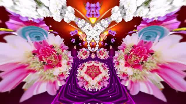 Футажи! Футаж Букеты роз К 10 от Киностудии Мудрого Кота Тимофея!!!