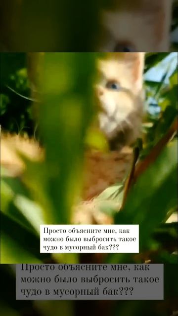 Кошка, брошь из эпоксидной смолы