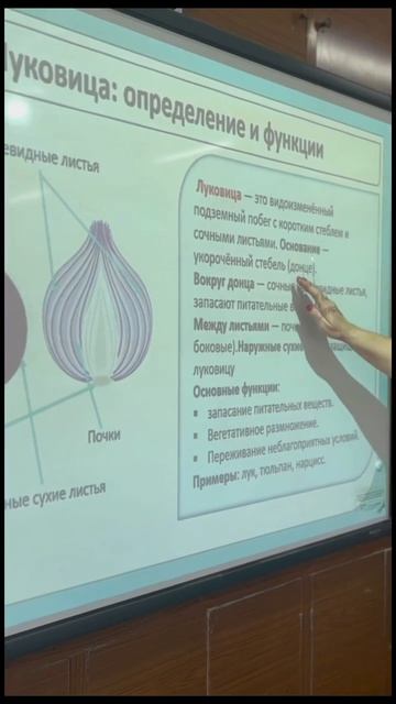 Класс функциональной грамотности