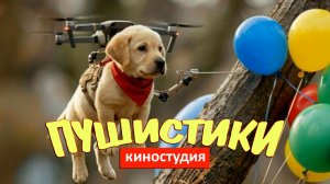 Мультики для детей. Спасение кролика