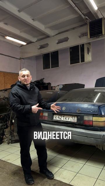 А вы как думаете? Долго проживет?