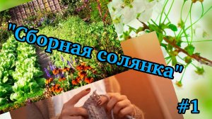 Начинаю садово-огородный сезон.