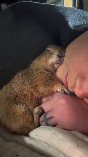 video_2026-03-03_10-07-11