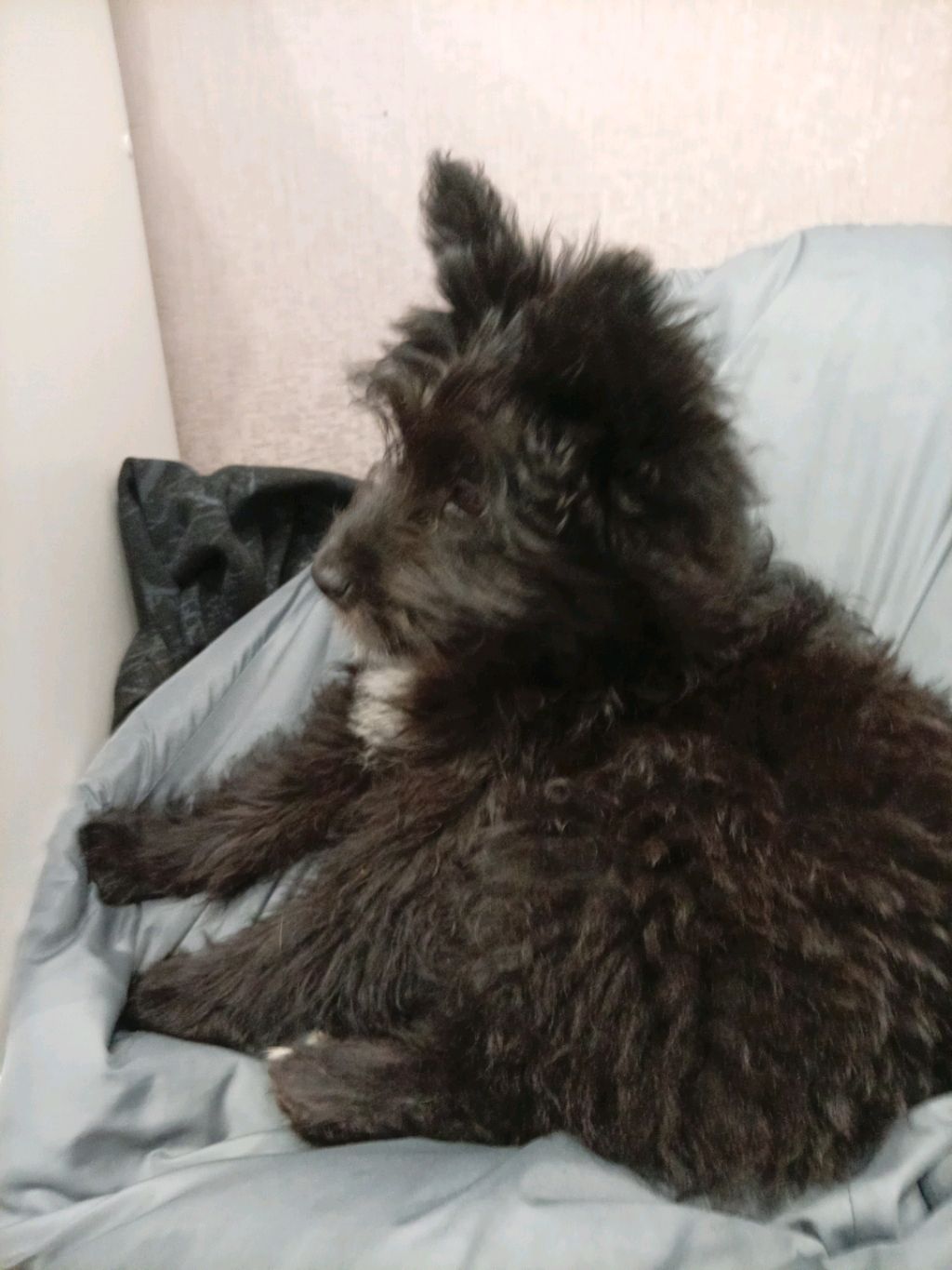 1 для вас сюрпризик