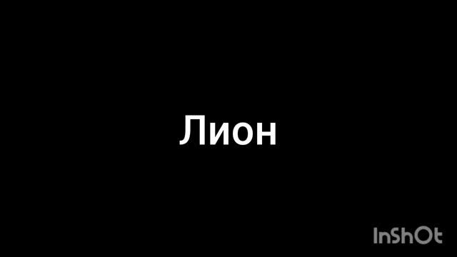 лион