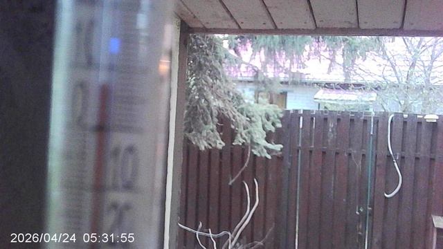 Обзор: по утрам во дворе ещё холодно поэтому пересаживать рассаду в огород рано