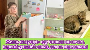 Жизнь на хуторе - еду готовлю по ночам, первый урожай в салат, дел не переделать, а руки всего две