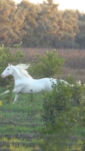 #katyboro #видеооткрытка      #рекомендации #врек #топ #врекомендации